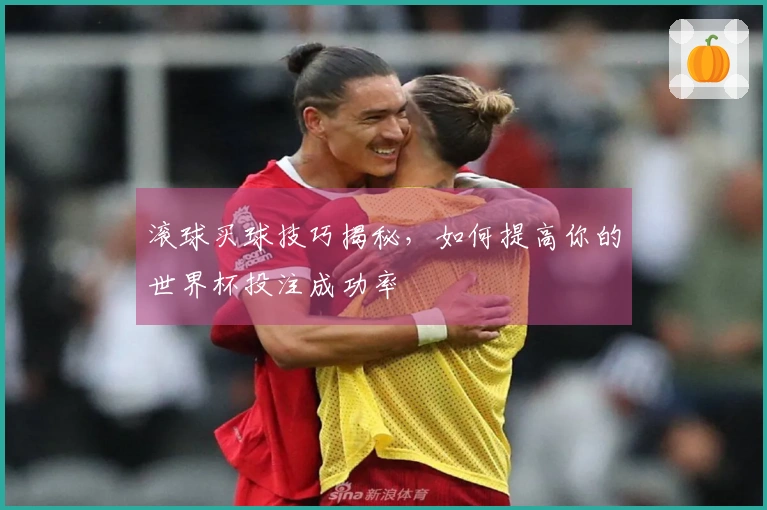 滚球买球技巧揭秘，如何提高你的世界杯投注成功率