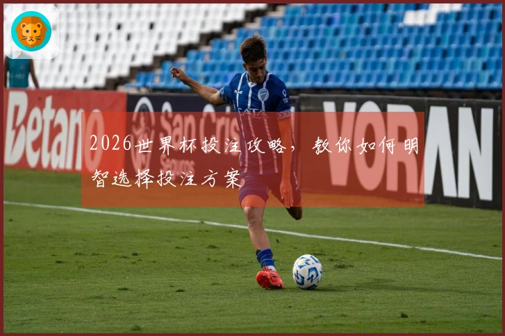 2026世界杯投注攻略，教你如何明智选择投注方案
