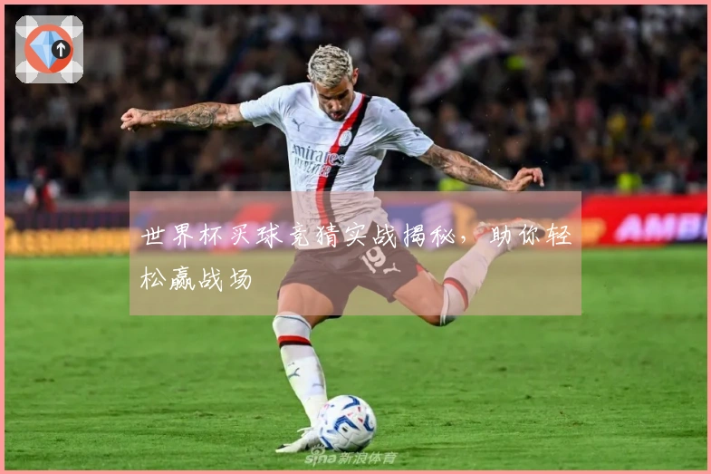 世界杯买球竞猜实战揭秘，助你轻松赢战场