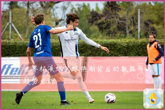 世界杯滚球买球热潮背后的数据与趋势分析