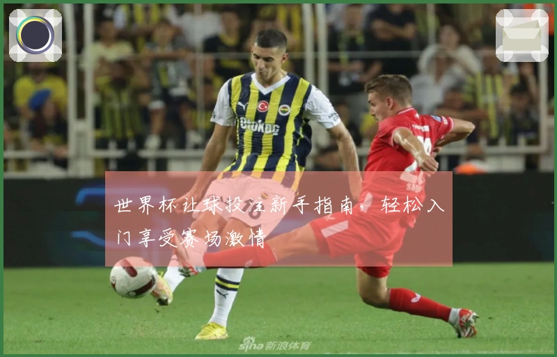 世界杯让球投注新手指南，轻松入门享受赛场激情