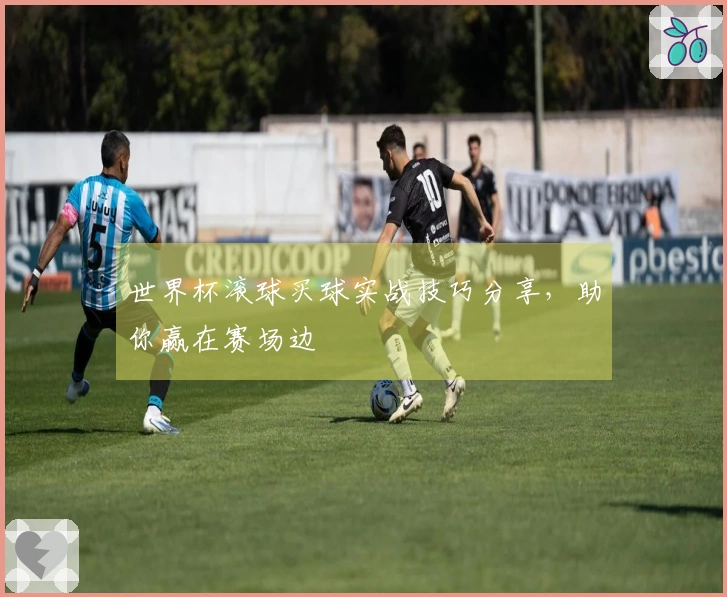 世界杯滚球买球实战技巧分享，助你赢在赛场边